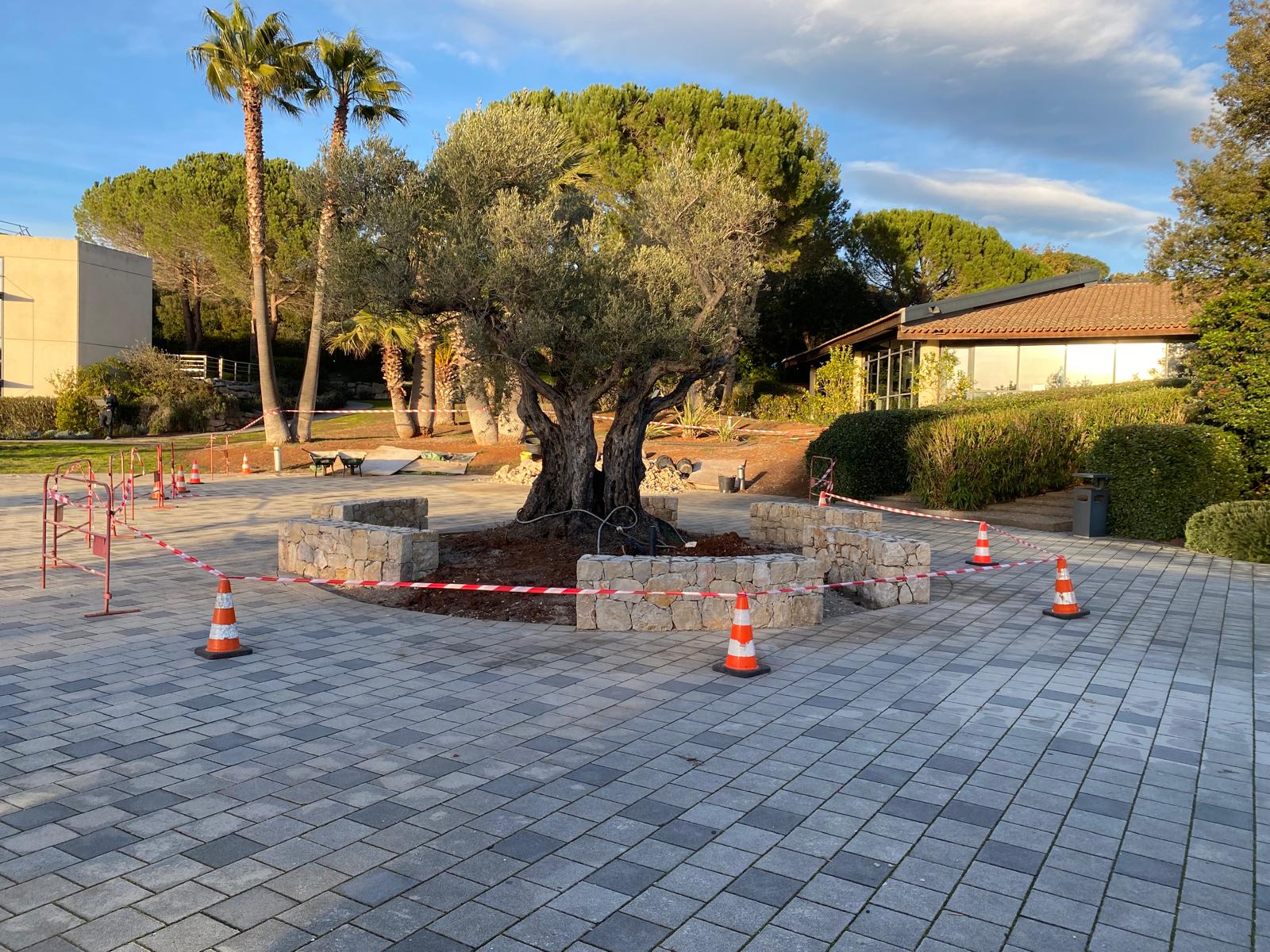 Cantiere Liguria — nuova edificazione